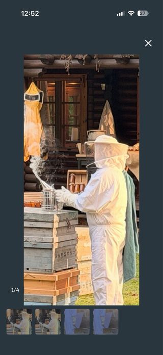 Dos monos apicultura para Jairo