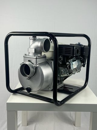 Motobomba WP30