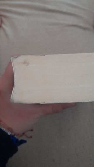 Libro Leona - der Zweck heiligt die Mittel
