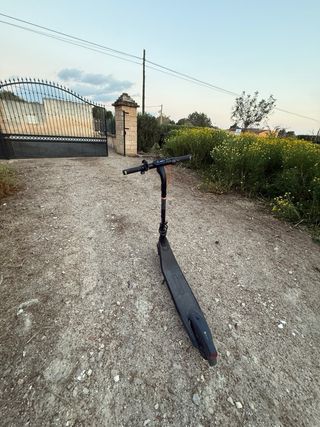 Patinete Eléctrico Ninebot E2 Pro