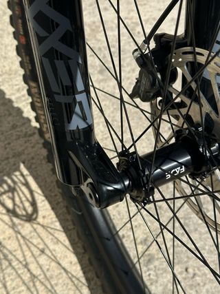 Canyon Sender Mullet