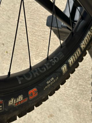 Canyon Sender Mullet