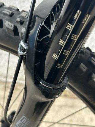 Canyon Sender Mullet