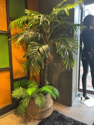 Planta Palmera Artificial Decorativa