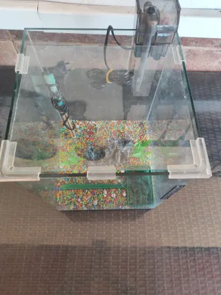 Acuario Blau 30L con accesorios