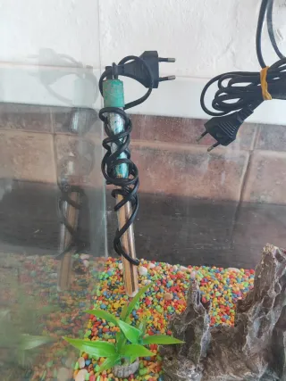 Acuario Blau 30L con accesorios