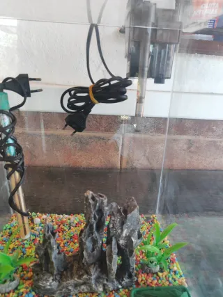 Acuario Blau 30L con accesorios