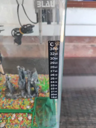 Acuario Blau 30L con accesorios