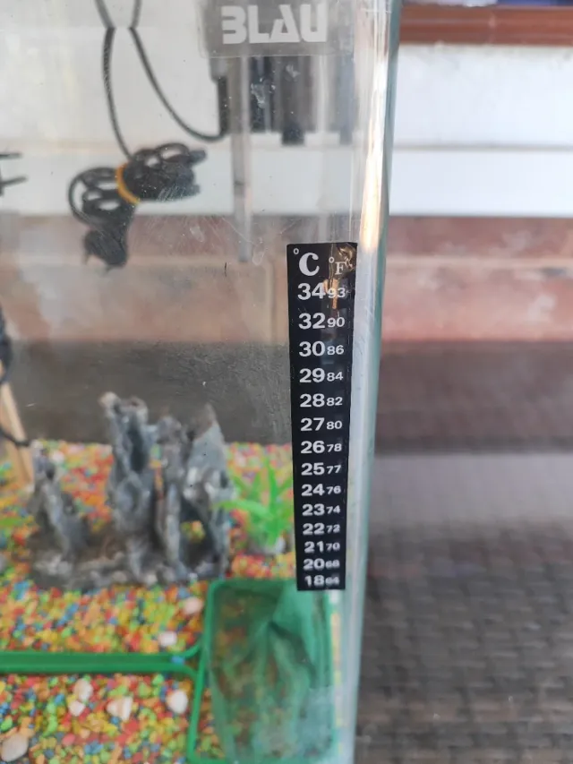 Acuario Blau 30L con accesorios