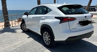 Lexus NX 2018