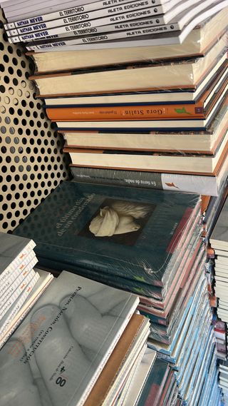 Libros y cómics lote 2000 unidad