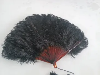 Ventaglio vintage piume nere