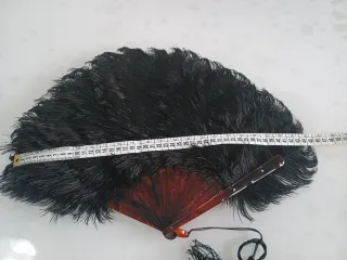 Ventaglio vintage piume nere