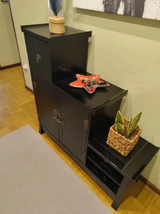 Zapatero Escalera Negro