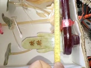 Oggetto decorativo cinese con pesci e gamberi