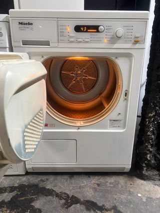 Secadora Miele Softronic