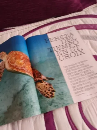 Revista El viajero del 22 de marzo
