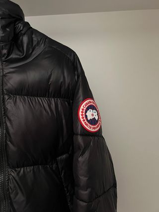 Plumifero Canada Goose Negro