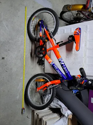 Bicicleta infantil Peliser Lion