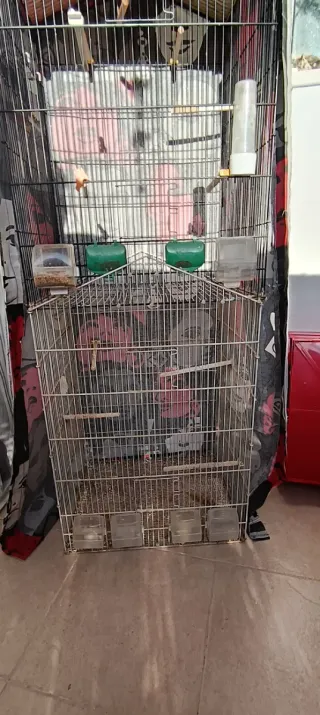 Gabbia per uccelli ALAMBER