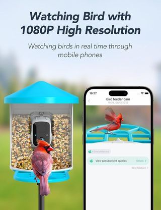 Casa para pájaros con cámara WiFi NUEVA