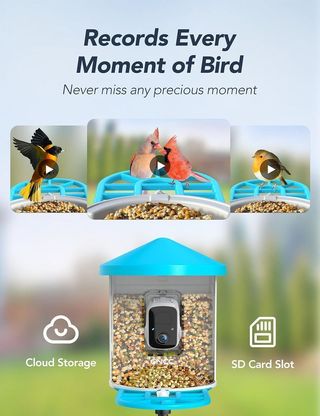 Casa para pájaros con cámara WiFi NUEVA