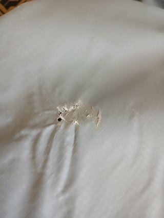 Piscina Redonda Con Depuradora Greywood Intex 549x122 CM