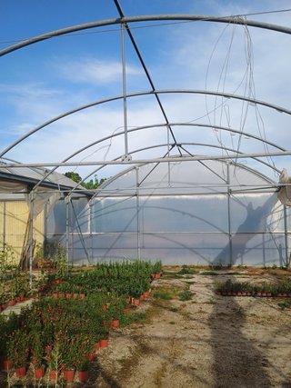 Invernaderos de vivero en venta