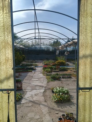 Invernaderos de vivero en venta