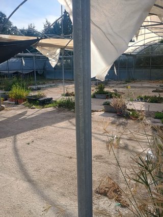 Invernaderos de vivero en venta