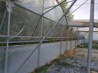 Invernaderos de vivero en venta