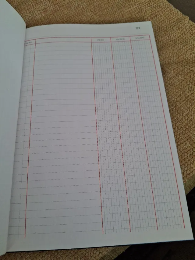 Libro cuentas corrientes