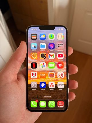 iPhone 13 Pro 512GB Quasi Nuovo