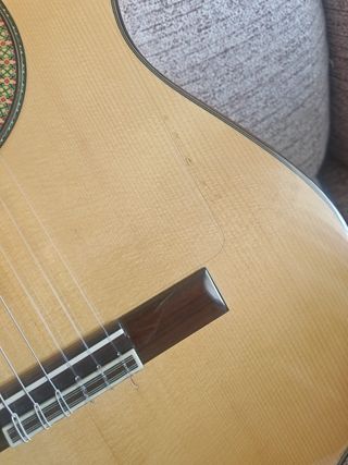 Guitarra Alambra 7FC Amplificada