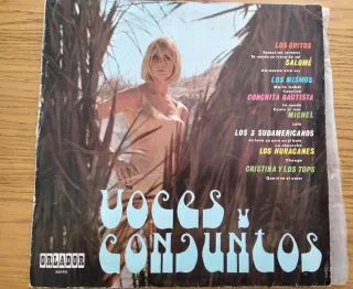 Lote Vinilos Vintage Varios Artistas