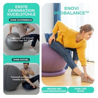 Silla de Ejercicio ProfiBalance