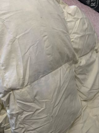 Edredón plumón cama matrimonio beige económico