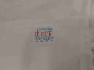 Traje de Novia Blanco con Velo