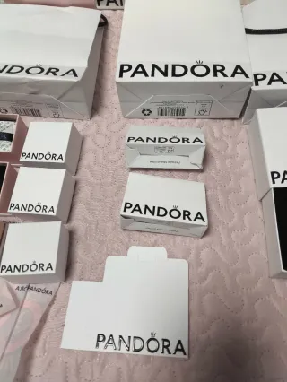 Lote Bolsas y Cajas Pandora