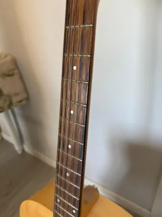 Guitarra Seagull Excursion Nat SG Isys+