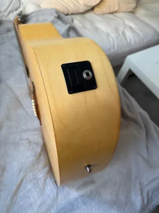 Guitarra Seagull Excursion Nat SG Isys+