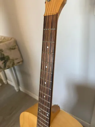 Guitarra Seagull Excursion Nat SG Isys+