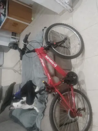 Bicicleta roja TOPLIFE