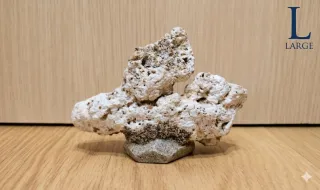 Roca Magnética Decoración Acuario Marino