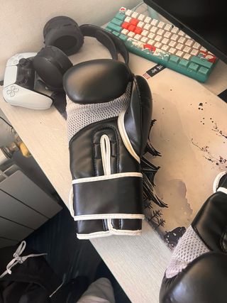 Guantes de Boxeo Shark 16 oz