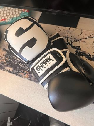 Guantes de Boxeo Shark 16 oz