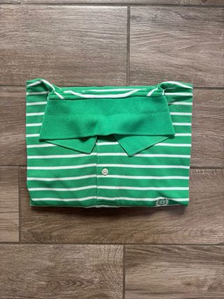Polo Chaps a righe verdi