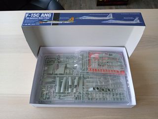 F-15C ANG 75th ANNIVERSARY MAQUETA ACADEMY 1/72