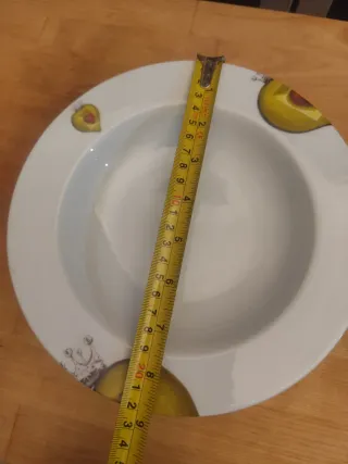 Conjunto de 21 platos de porcelana