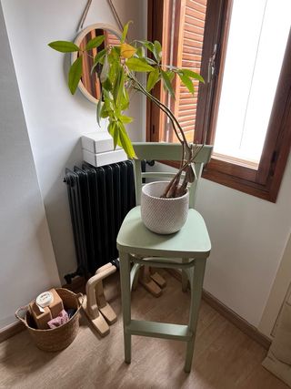 Sedia alta stile bar o decorativa